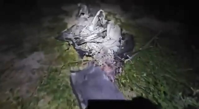 انهدام یک پهپاد آمریکایی در بندرعباس