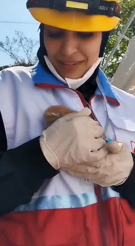 نجات بچه گربه در یکی از مناطقی که مورد هدف قرار گرفت.