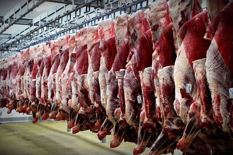 قیمت جدید تخم‌مرغ، گوشت و لبنیات در بازار