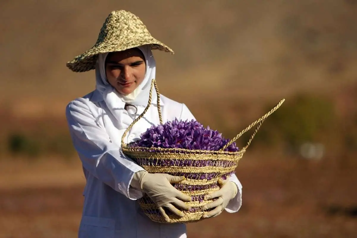 قیمت زعفران در بازار چقدر است؟