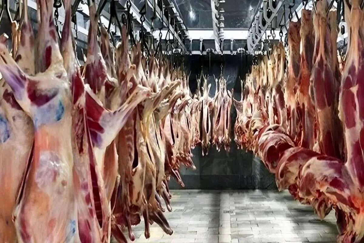 ثروتمندان چند برابر فقرا گوشت مصرف می‌کنند؟