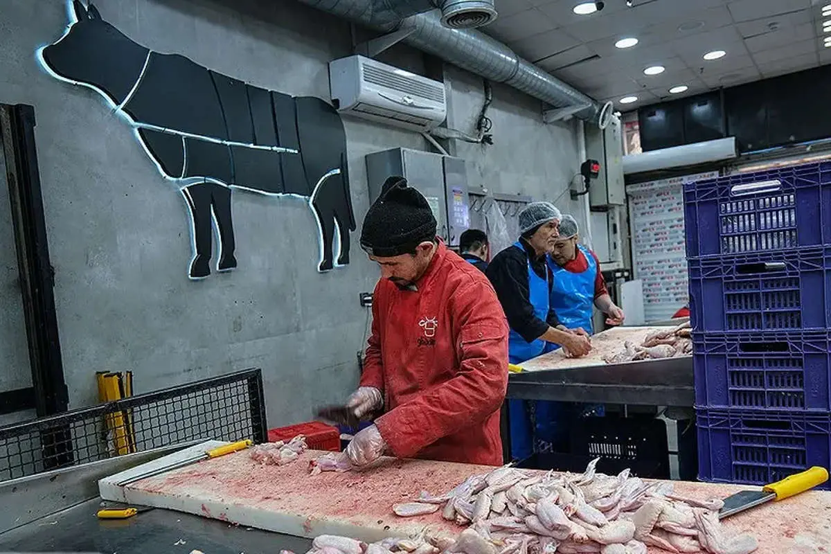 قیمت جدید مرغ در بازار/ فیله 650 هزار تومان ناقابل!