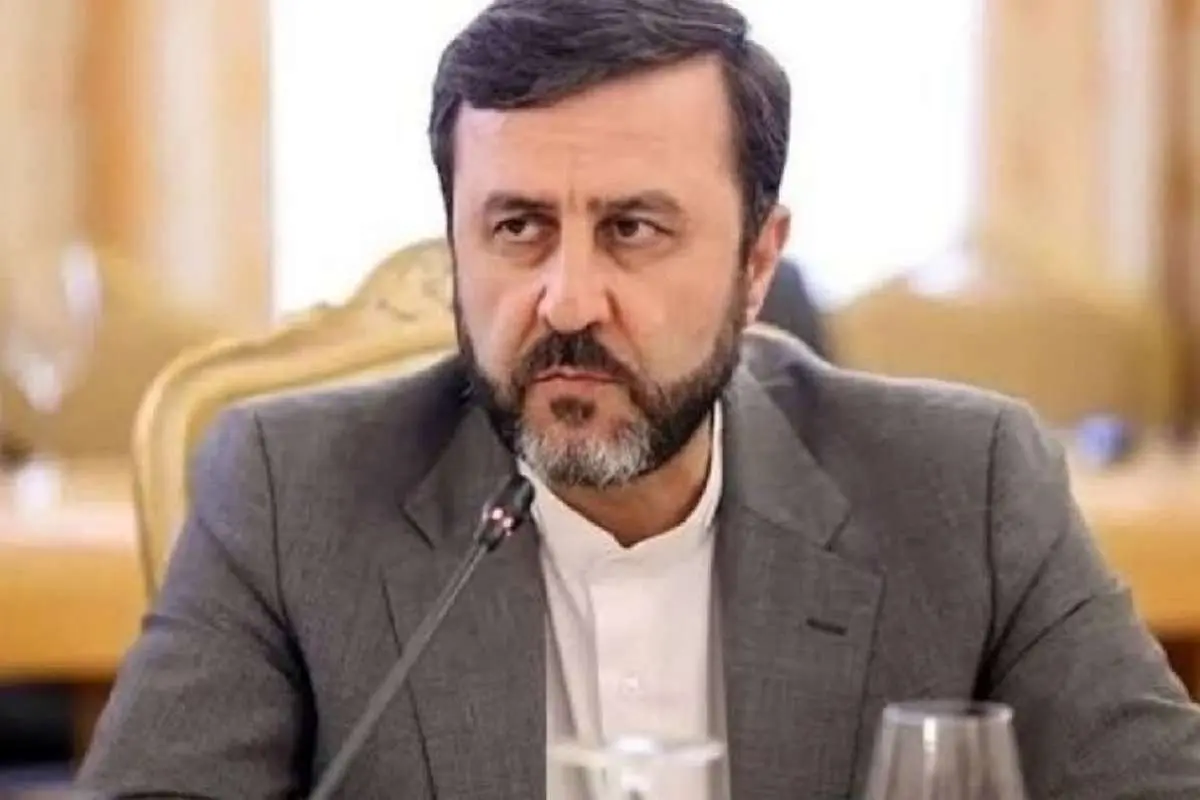 غریب‌آبادی: ایران تعرض به میراث فرهنگی خود را پیگیری می‌کند
