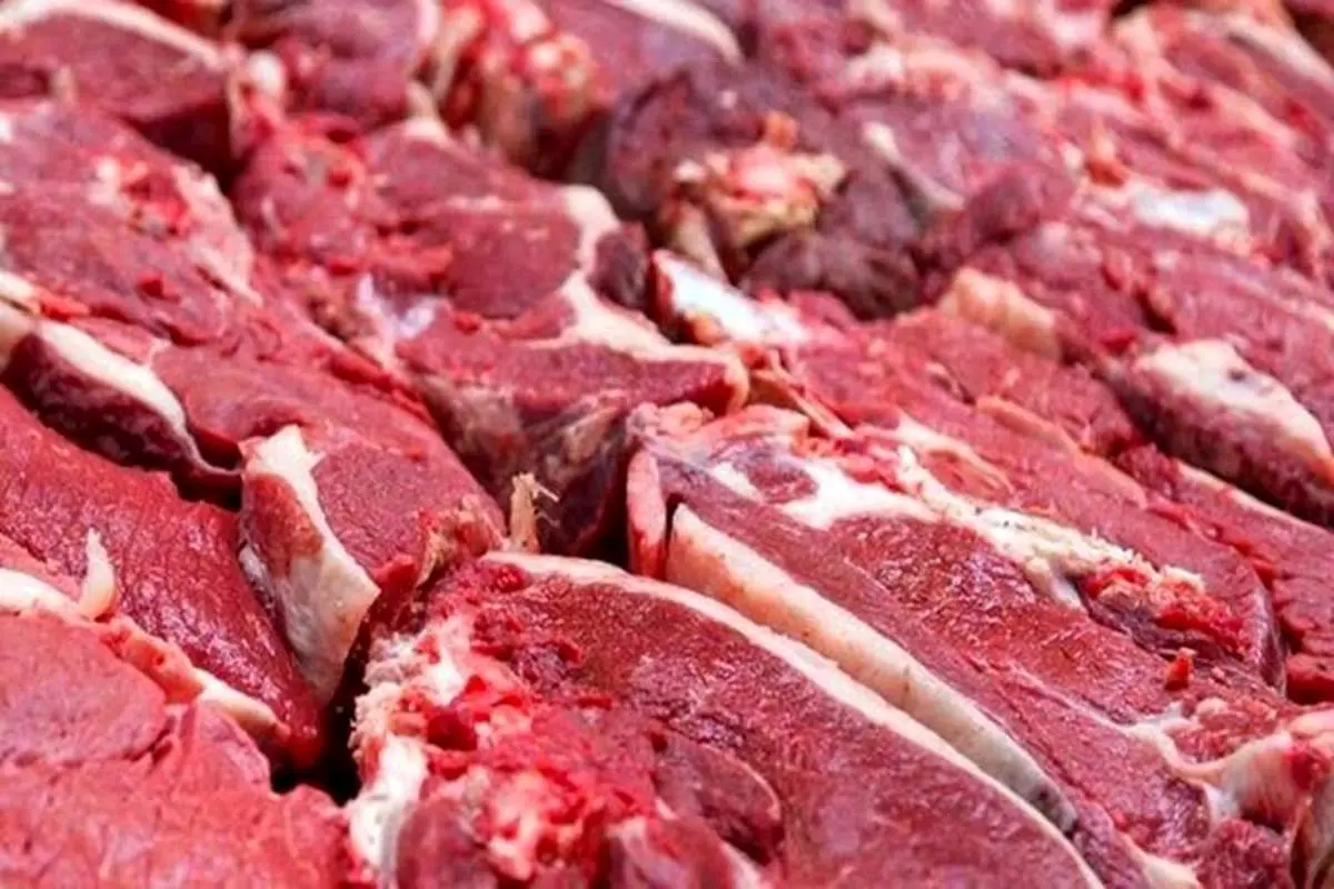 قیمت جدید گوشت قرمز امروز ۶ خرداد ۱۴۰۵/ ماهیچه گوسفندی چند؟