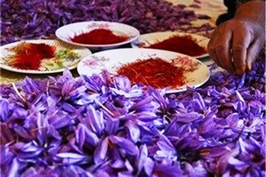 قیمت جدید زعفران