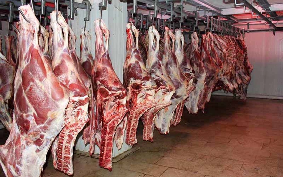 قیمت جدید گوشت گوسفندی و گوساله در بازار