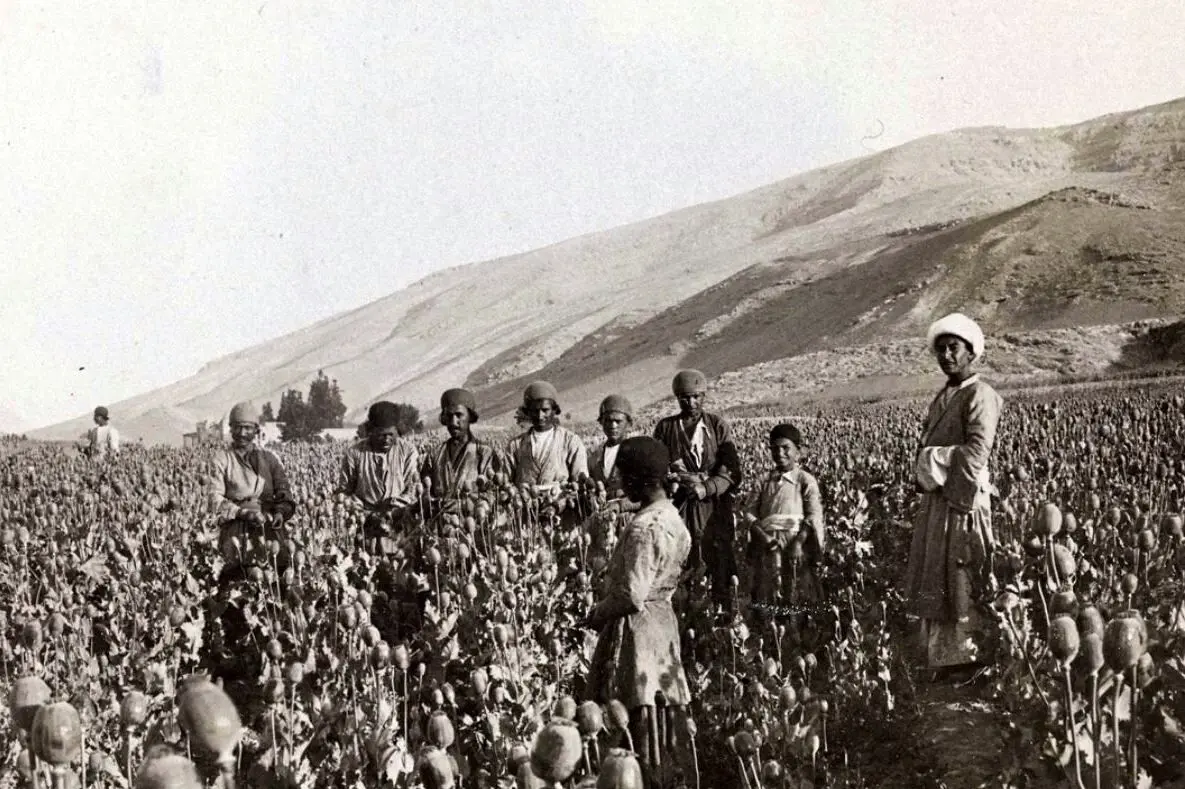 پایان «سلطنت خشخاش» در ایران؛ ۷۰ سال از روزی که دولت و مجلس بساط تریاک را غیرقانونی کردند