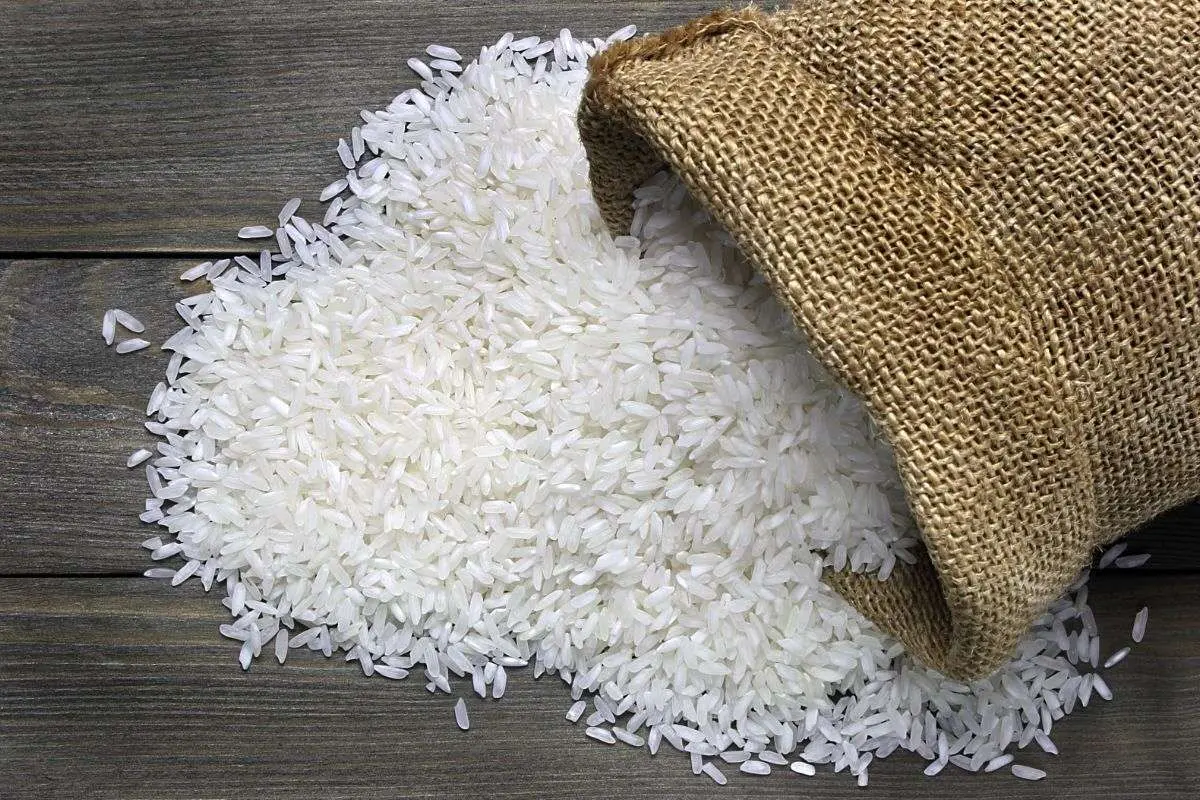 فوری: کلاهبرداری جدید با برنج‌های تقلبی؛ ۲ تُن برنج غیراستاندارد کشف و ضبط شد