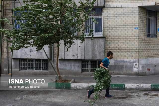 افزایش سرعت وزش باد در تهران