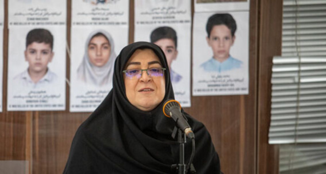 مهاجرانی: ایران موضوع خسارت ناشی از حمله به نیروگاه بوشهر را با آژانس مطرح کرد