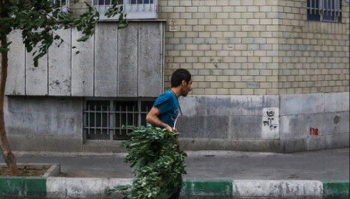 وزش باد شدید در تهران/ افزایش دما از جمعه