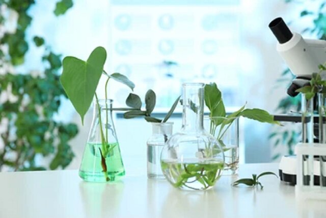 فناوری پیشرفته برای عصاره‌گیری از گیاهان دارویی؛ دستگاه CO₂ فوق بحرانی بومی شد