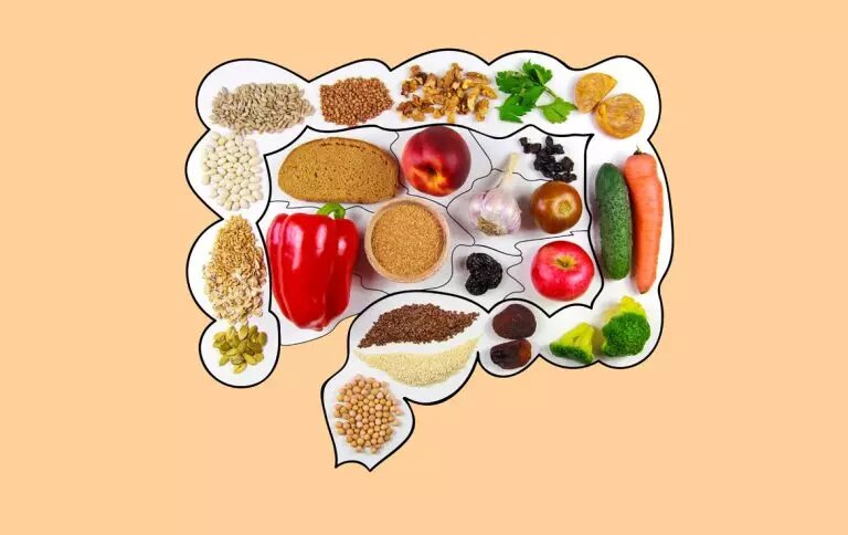 نقش میکروبیوم روده در سوخت‎‌وساز بدن چیست؟