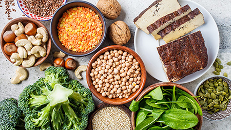 منابع گیاهی که جای پروتئین را می‌گیرند