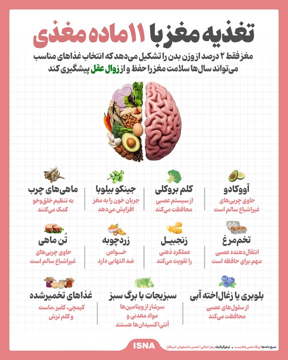 ۱۱ ماده مغذی که سلامت مغز را تضمین می کند
