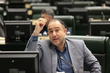 عضو فراکسیون مستقلین: برخی دست‌های تندرو بر طبل تفرقه می‌کوبند
