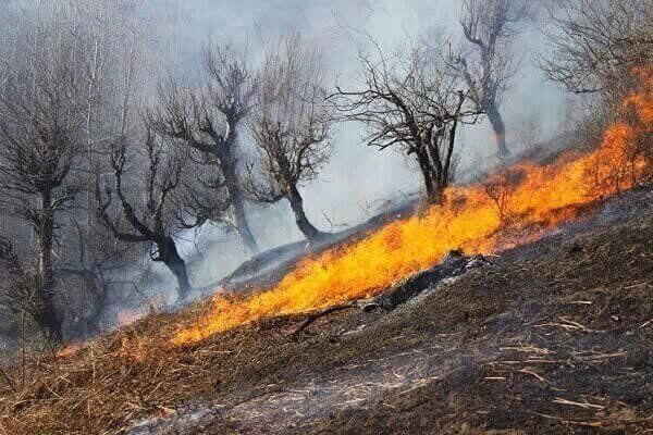 احتمال بروز آتش سوزی در مراتع و جنگل های این استان