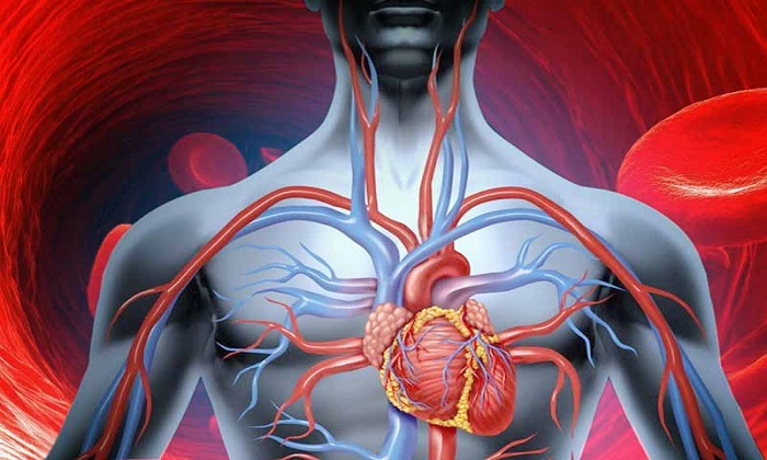 گیاهان دارویی برای نجات از بی‌حسی و ضعف گردش خون