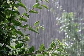 پاییز پیش رو پربارش خواهد بود