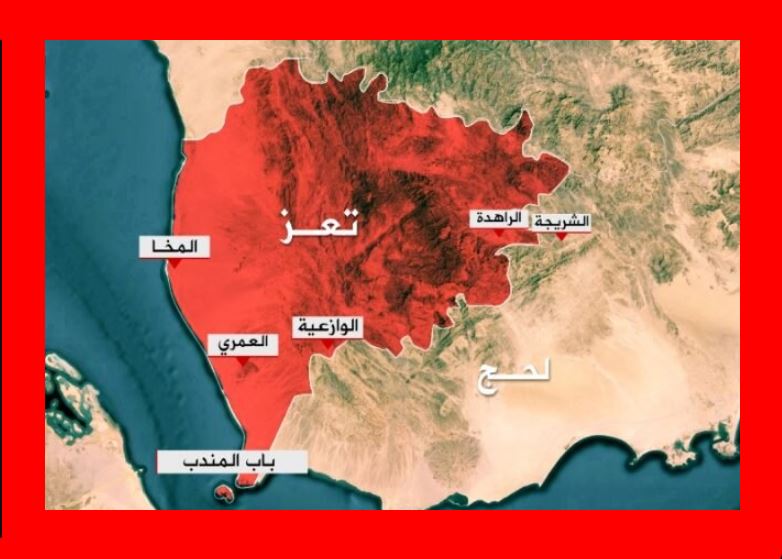 گزارش‌ها از رسیدن نیروهای ارتش یمن به دروازه جنوبی تعز