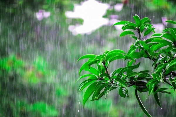 آسمان ناآرام در ۲۶ استان؛ هشدار هواشناسی صادر شد