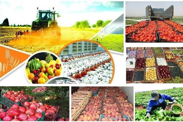 امنیت غذایی در انتظار اجرای سریع‌تر