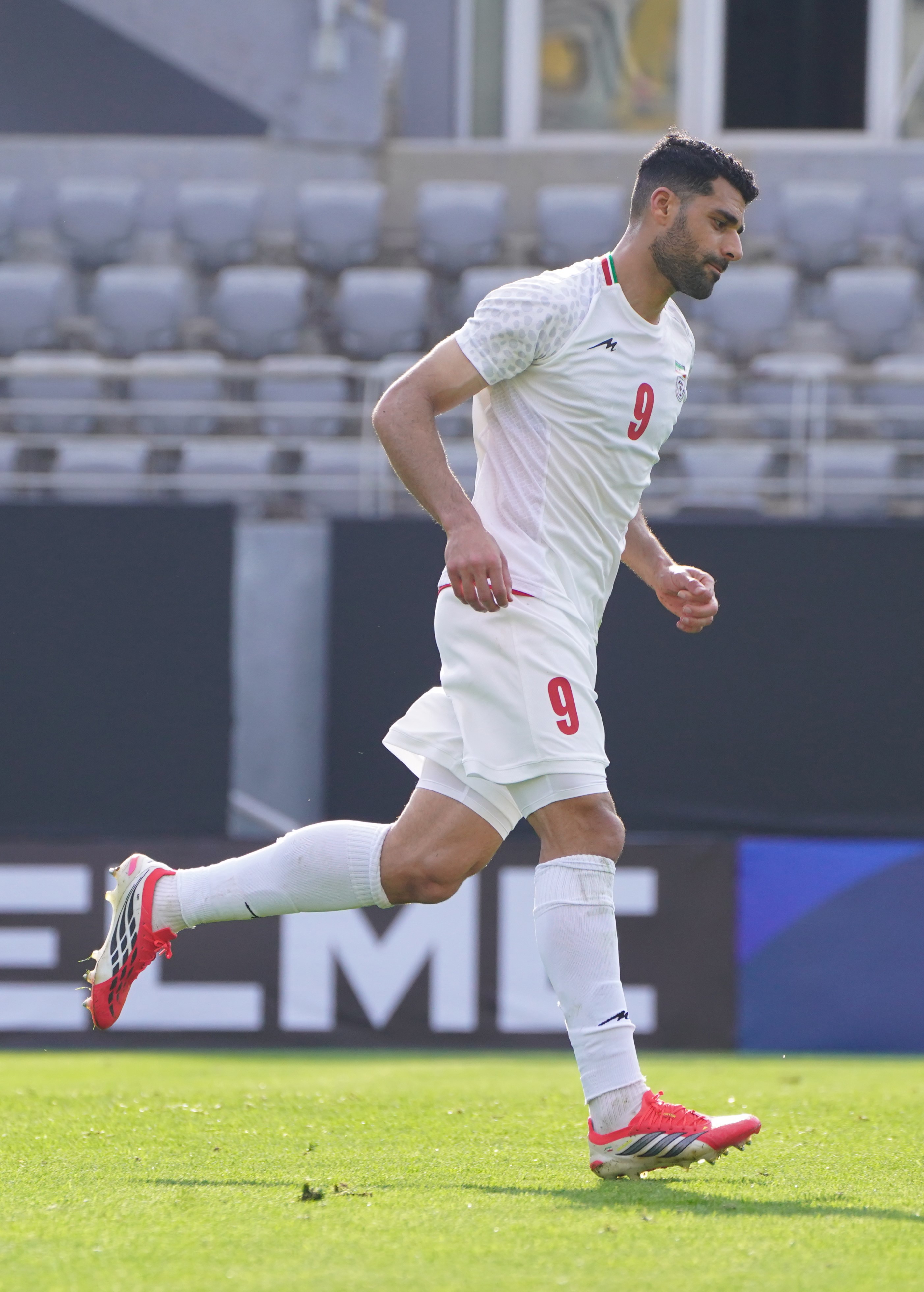 طارمی 