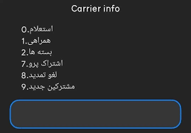 اضافه شدن اشتراک اینترنت پرو؛ تصویری که فضای مجازی را منفجر کرد!