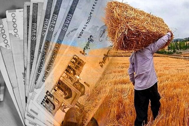 زمان پرداخت مطالبات گندم‌کاران مشخص شد؟ هشدار مجلس درباره تأخیرهای نگران‌کننده