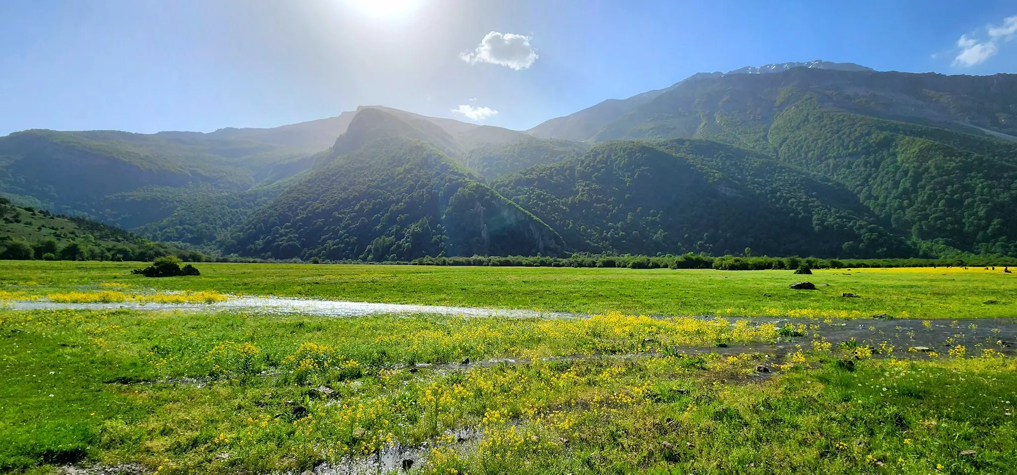 دریاسر