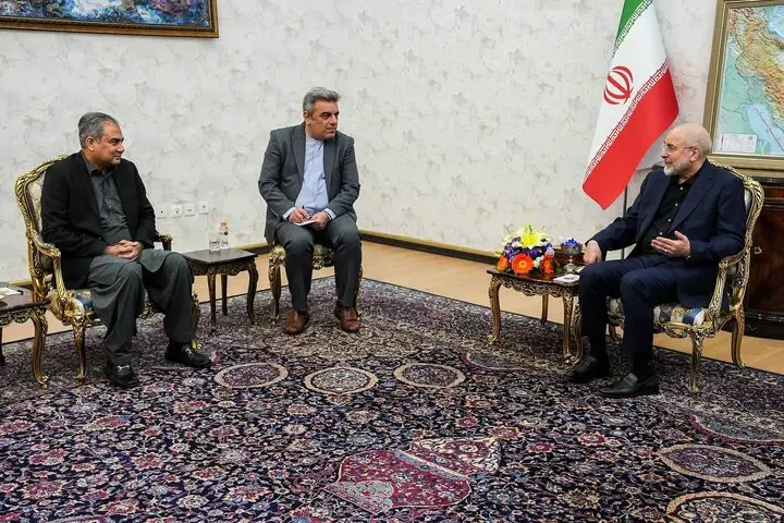 تصمیم غیرمنتظره مقام پاکستانی در تهران؛ وزیر کشور پاکستان فعلاً نمی‌رود
