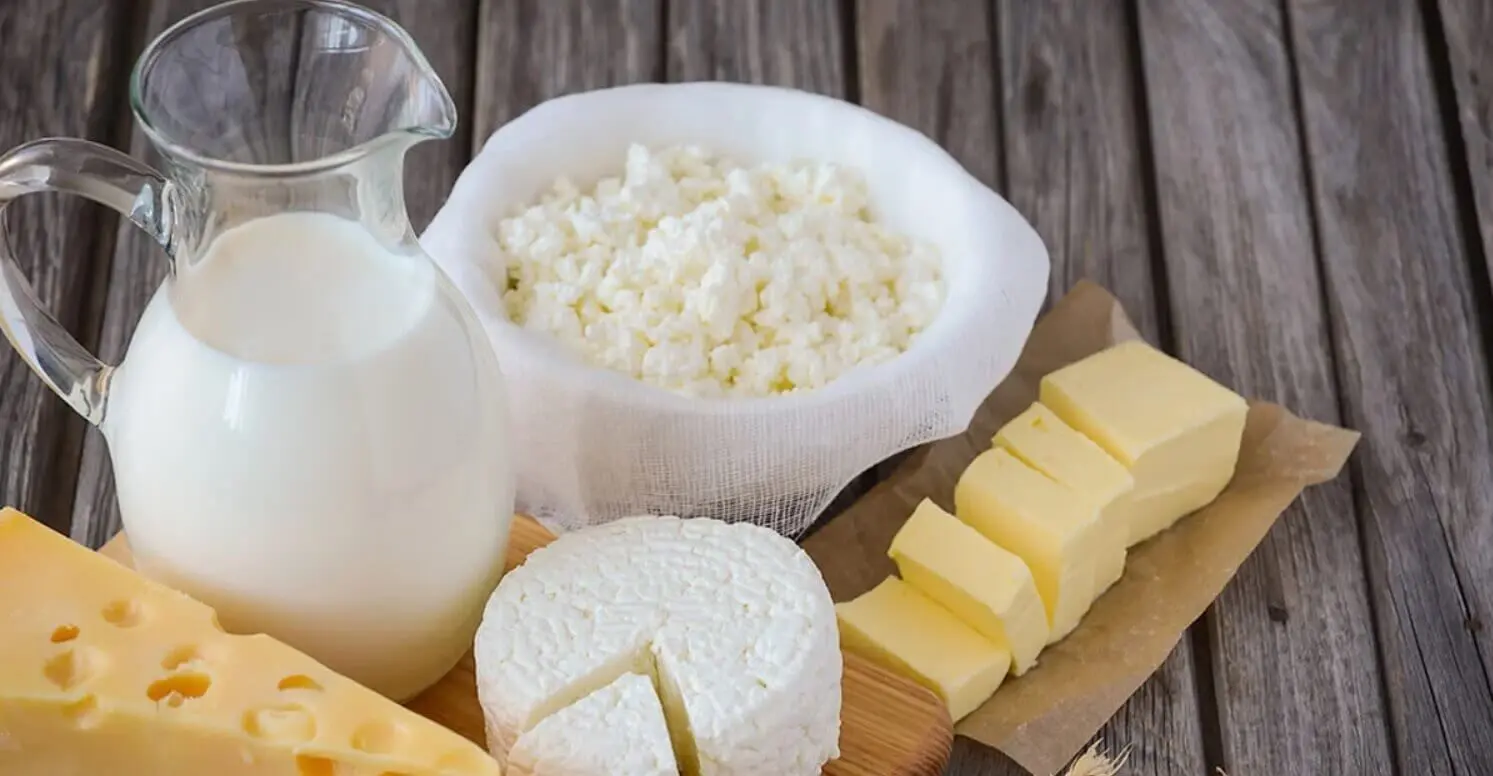 کوچ اجباری لبنیات از سفره‌ها به ویترین مغازه‌ها