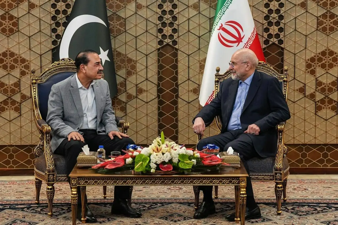 عاصم