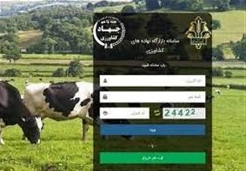 میزان عرضه نهاده‌های دامی از مرز نیم میلیون تن در سامانه بازارگاه عبور کرد