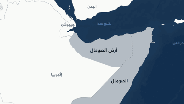 مصر به فکر افزایش حضور نظامی در شاخ آفریقا