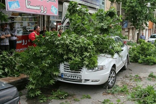 منتظر وزش تندباد لحظه‌ای در تهران باشید