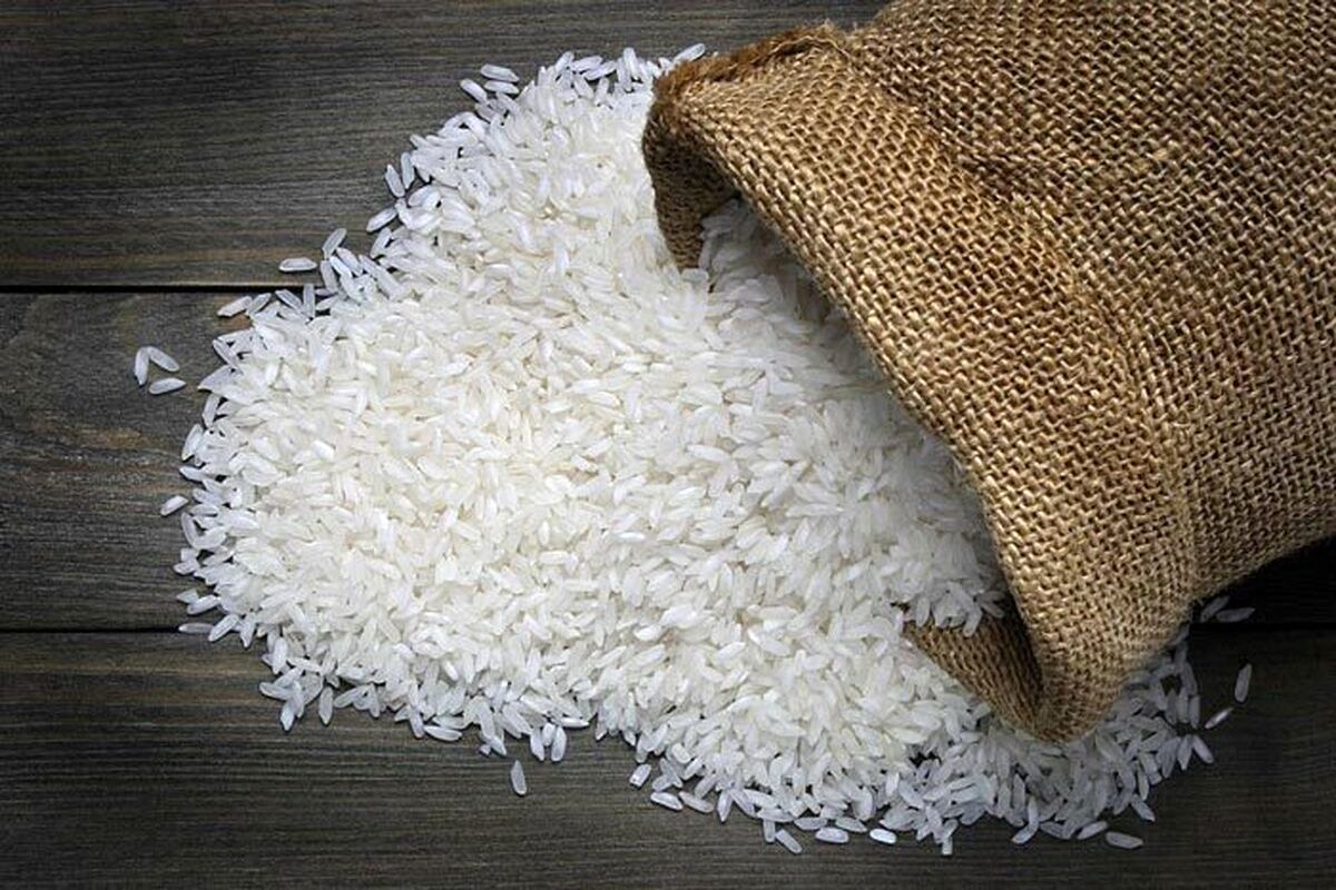 قیمت برنج ایرانی پایین آمد