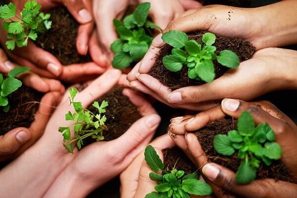 حلقه مفقوده تحقق هوای پاک در ایران، «صنعت سبز» است