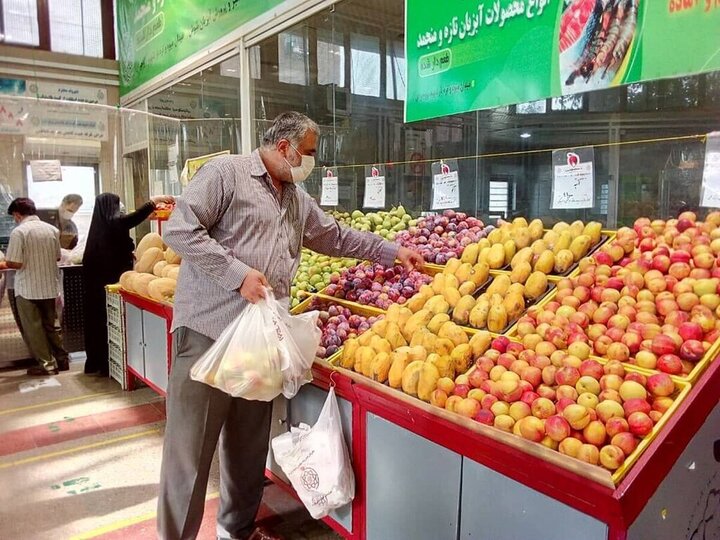 توزیع ۳۰۰ تن میوه شب عید در مازندران در راستای حمایت از اصناف خرد