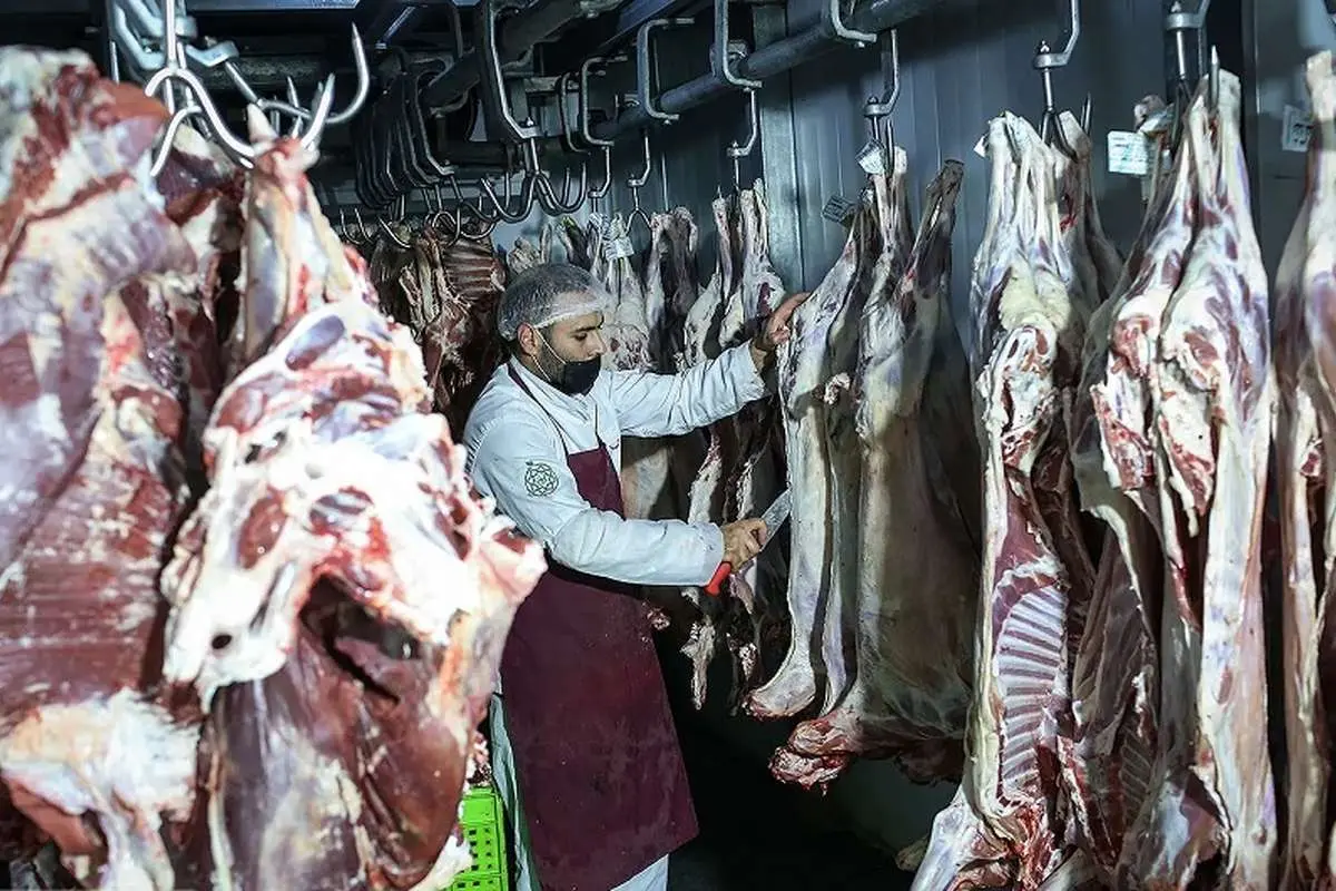 قیمت واقعی گوشت چقدر است؟